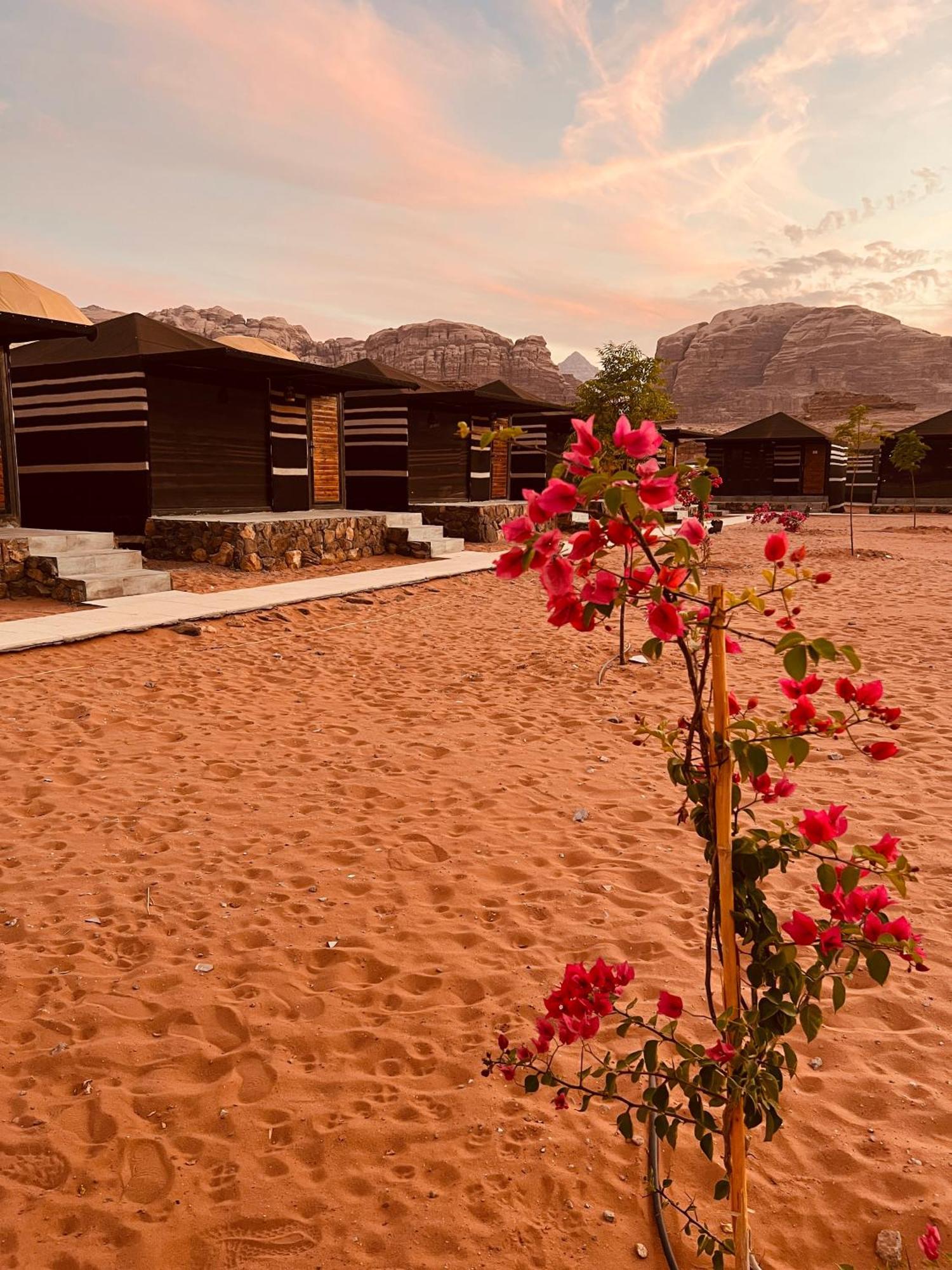 Revan Rum Luxury Camp Wadi Rum Eksteriør bilde