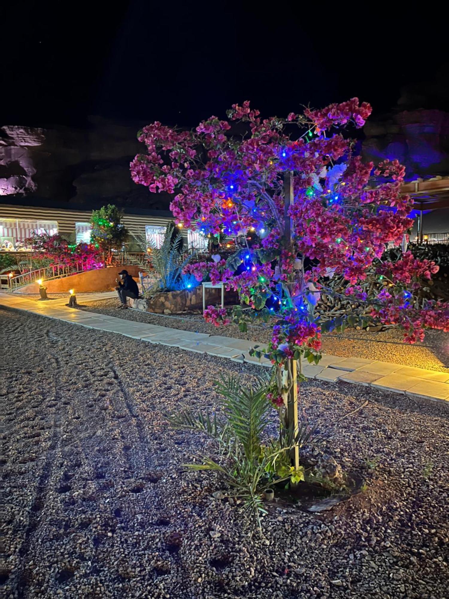 Revan Rum Luxury Camp Wadi Rum Eksteriør bilde